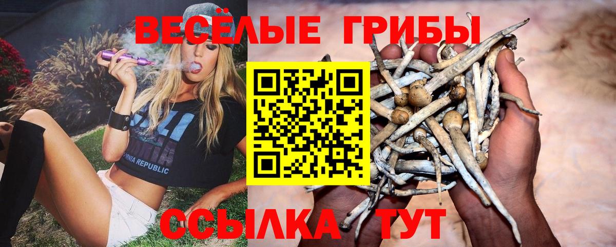Галлюциногенные грибы ЛСД  Вход с VPN  Псилоцибиновые грибы Psilocybe  Чехов 